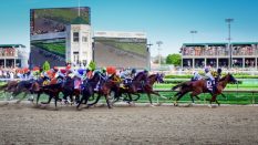 Top Contenders: Kentucky Derby Horses to Watch