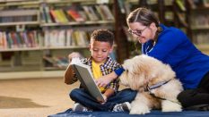 From Classroom to Canine Companion: Ensuring Safety with Pet Dogs to Schools Insurance